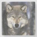 Suche nach canis untersetzer Fauna
