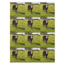 Recherche de pour laîné Ferme