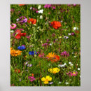 Suche nach schöne blumen poster Natur