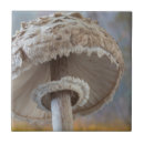 Suche nach makro fliesen Pflanze