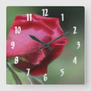Suche nach single rose poster Nature