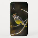 Recherche de cèdre iphone coques Oiseau