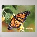 Recherche de monarchie posters Monarque
