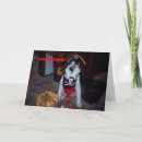 Recherche de chat pirate vœux cartes Humour