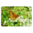 Suche nach schwarze schönheit magnete Natur