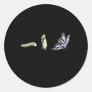 Suche nach monarchie aufkleber Schmetterling