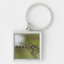 Recherche de mouche porteclés Horizontal