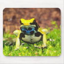 Recherche de toxique tapis souris Grenouille