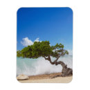Recherche de îles des caraïbes magnets Ville