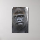 Suche nach gorilla leinwandbilder Natur