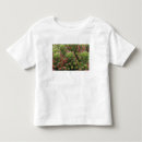 Suche nach sedum Rosa