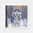 Recherche de husky serviettes Animal de compagnie