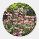 Suche nach blumen foto magnete Rosa