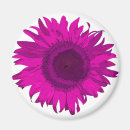 Recherche de fuchsia magnets Mignon