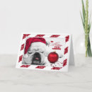 Suche nach stierhund karten Hunde