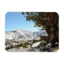 Recherche de vieil magnets Nature