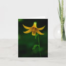 Suche nach lilium karten Blätter