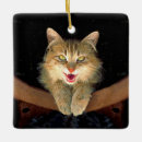 Suche nach gelbe katze ornamente Tabelle