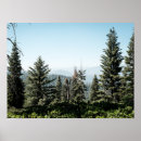 Recherche de forêt de séquoia posters Photographie de la nature