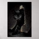 Recherche de chat noir yeux verts posters Chaton