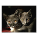 Recherche de intérieur mur décor posters Gris