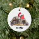 Suche nach lustige schildkröten ornamente Tier