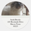 Recherche de conceptions de chat autocollants Minou