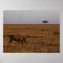 Recherche de faune art Safari