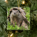 Suche nach murmeltiere ornamente Waldmurmeltier