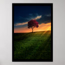 Suche nach roter himmel poster Natur