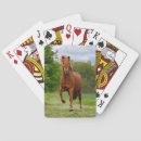 Recherche de islandais jeux de cartes Cheval