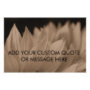 Recherche de pétales posters Tournesol