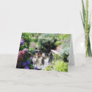 Recherche de sheltie vœux cartes Colley