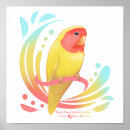 Suche nach lutino poster Vogelvogel