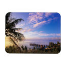 Recherche de polynesie magnets Moorea