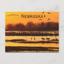 Recherche de vol de grue cartes postales Nature