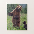 Suche nach braunbär puzzle Fauna