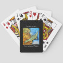 Recherche de crocodile jeux de cartes Reptile