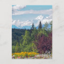 Recherche de paysage fleuri cartes postales Floral