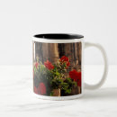 Recherche de arène tasses Romain