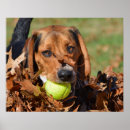 Suche nach ballen poster Ländlich