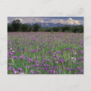 Suche nach anchorage postkarten Natur