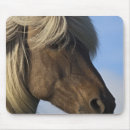 Recherche de tête cheval tapis souris Animal