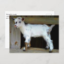 Recherche de nigerian cartes postales Animal