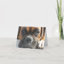 Suche nach boxen karten Boxer
