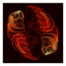 Recherche de métamorphose posters Coloré