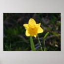 Suche nach backlit Hinterleuchten