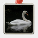 Suche nach weißer schwan ornamente Vögel