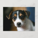Recherche de crics cartes postales Russell