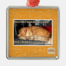 Suche nach herstellung ornamente Ich kann habe cheezburger